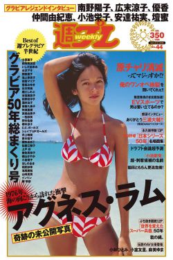 电视剧女人的抉择全集
