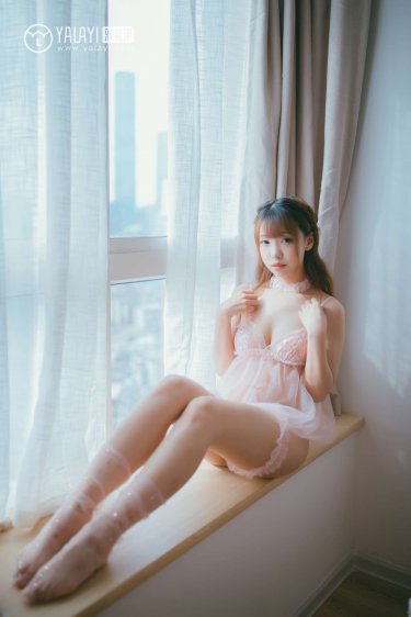 夫郎家的赘婿首辅