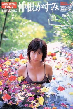 永夜星河短剧免费播放在线观看